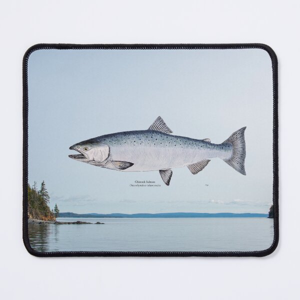 Item preview, Chinook Salmon Painting designed and sold by Stephen Emms.