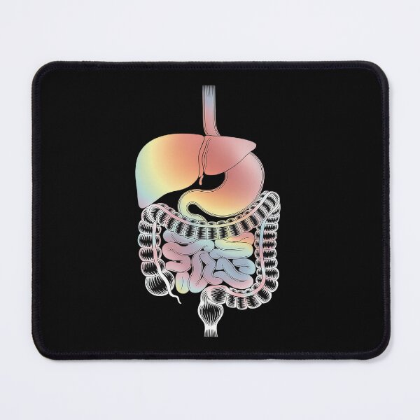 Item preview, Watercolor Digestive System Art Gastroenterology Specialist designed and sold by Shannon Bosley.