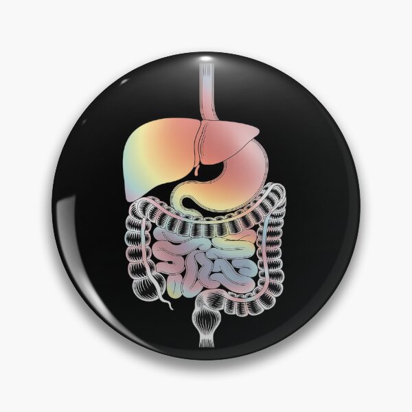 Item preview, Watercolor Digestive System Art Gastroenterology Specialist designed and sold by Shannon Bosley.
