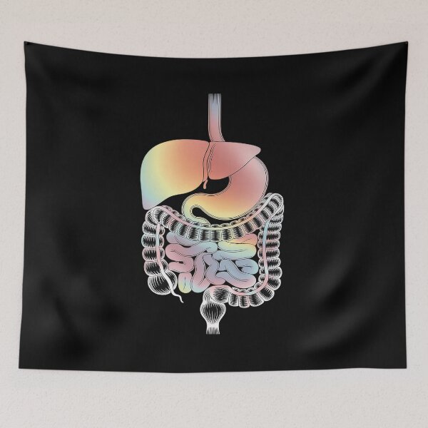 Item preview, Watercolor Digestive System Art Gastroenterology Specialist designed and sold by Shannon Bosley.