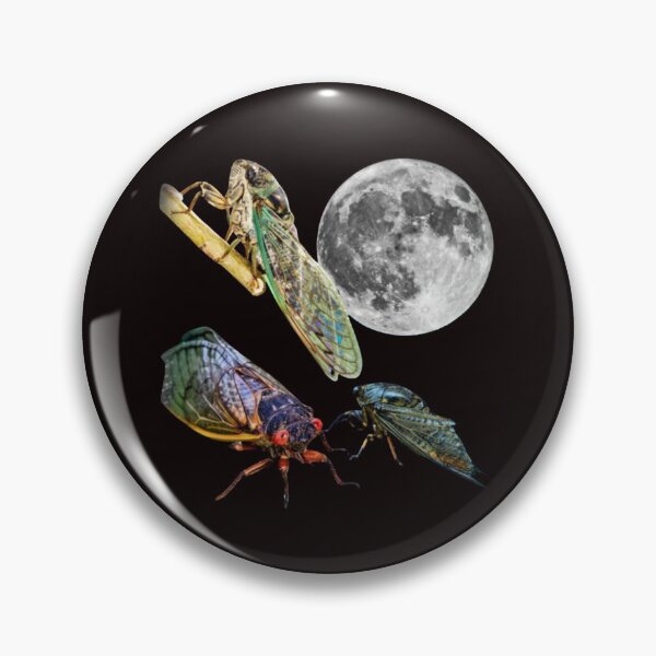 Item preview, Three Cicada Retro Graphic, Vintage Cicada Moon, Cicada Lovers, Funny Cicada, Silly Gift, Cicada designed and sold by DesignDenDo ⭐⭐⭐⭐⭐.