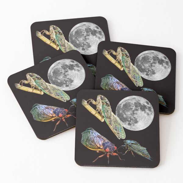 Item preview, Three Cicada Retro Graphic, Vintage Cicada Moon, Cicada Lovers, Funny Cicada, Silly Gift, Cicada designed and sold by DesignDenDo ⭐⭐⭐⭐⭐.