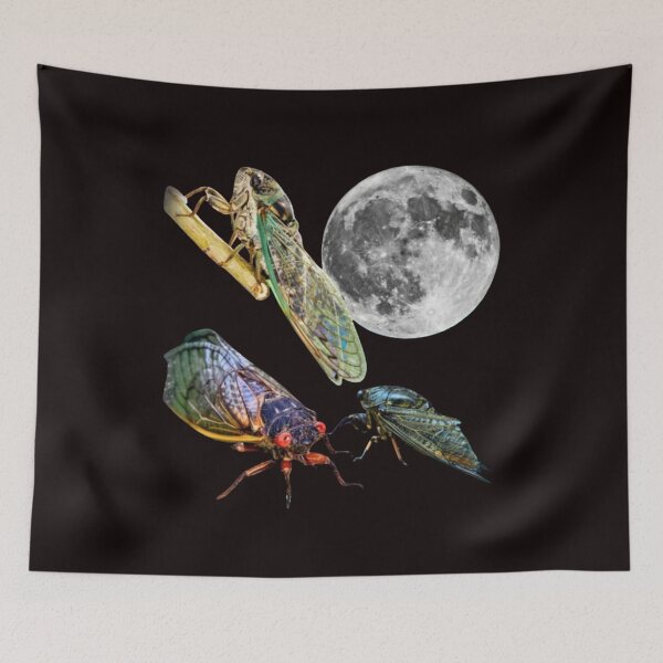 Item preview, Three Cicada Retro Graphic, Vintage Cicada Moon, Cicada Lovers, Funny Cicada, Silly Gift, Cicada designed and sold by DesignDenDo ⭐⭐⭐⭐⭐.