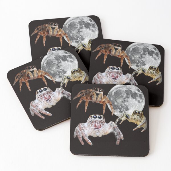 Item preview, Three Spider Retro Graphic, Vintage Halloween Moon, Spider, Funny Spider, Jumping Spider designed and sold by DesignDenDo ⭐⭐⭐⭐⭐.
