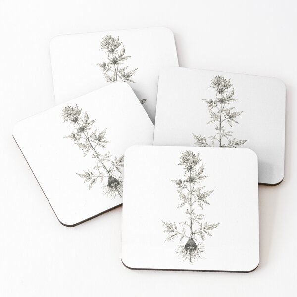 Item preview, Wormwood Witch Herb - Slavic Botany Etching - Dark Herbalist Art designed and sold by YvkafromPoland.