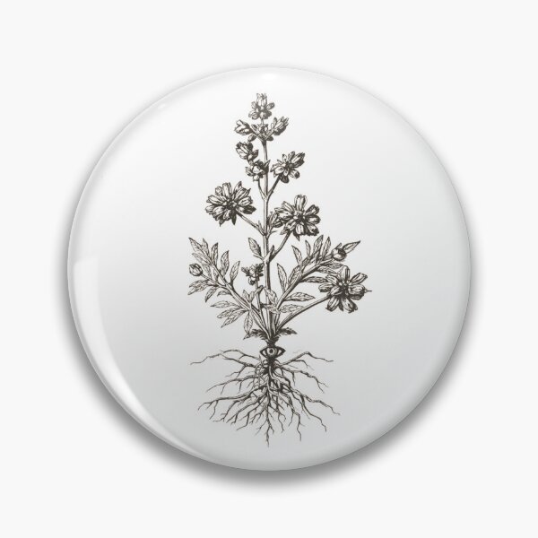 Item preview, Wormwood Witch Herb - Slavic Botany Etching - Dark Herbalist Art designed and sold by YvkafromPoland.