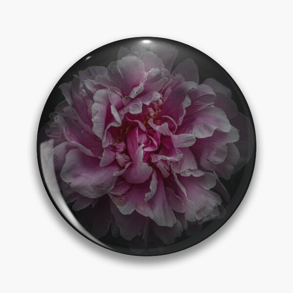 Item preview, Backyard Flowers No 117 Color Version designed and sold by The Learning Curve Photography.