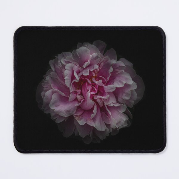 Item preview, Backyard Flowers No 117 Color Version designed and sold by The Learning Curve Photography.