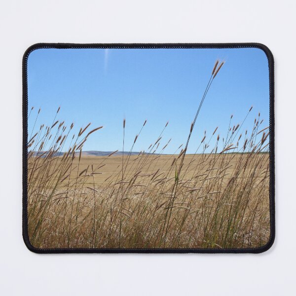 Item preview, Close Up of Wheat Spikes in a Sunlit Cereal Field designed and sold by tlhgnc.