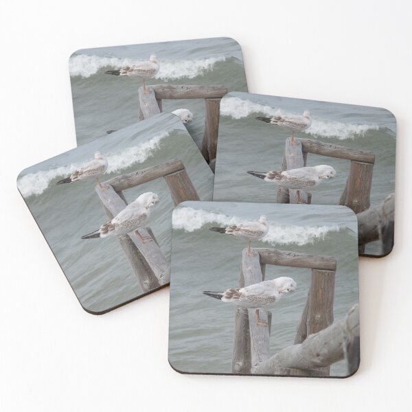 Item preview, Seagulls from Baltic shore designed and sold by Betulek.