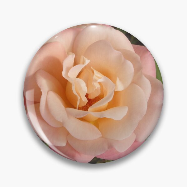 Item preview, Peach Rose flower salmon to yellow gradient designed and sold by Betulek.