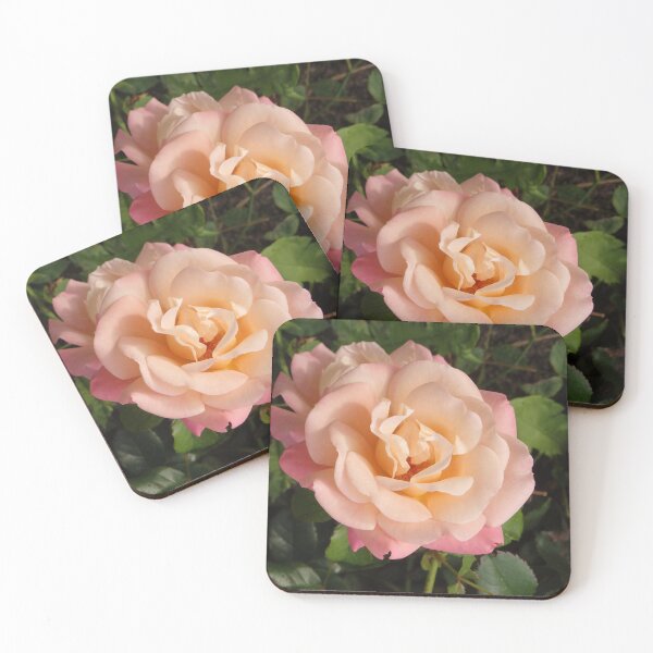 Item preview, Peach Rose flower salmon to yellow gradient designed and sold by Betulek.