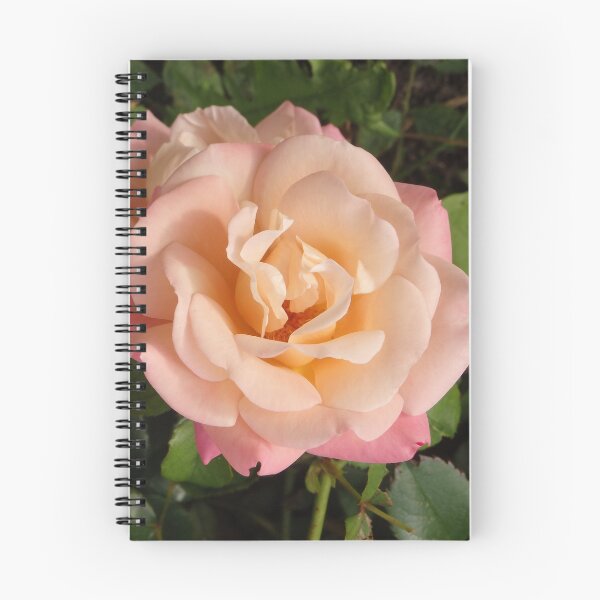 Item preview, Peach Rose flower salmon to yellow gradient designed and sold by Betulek.