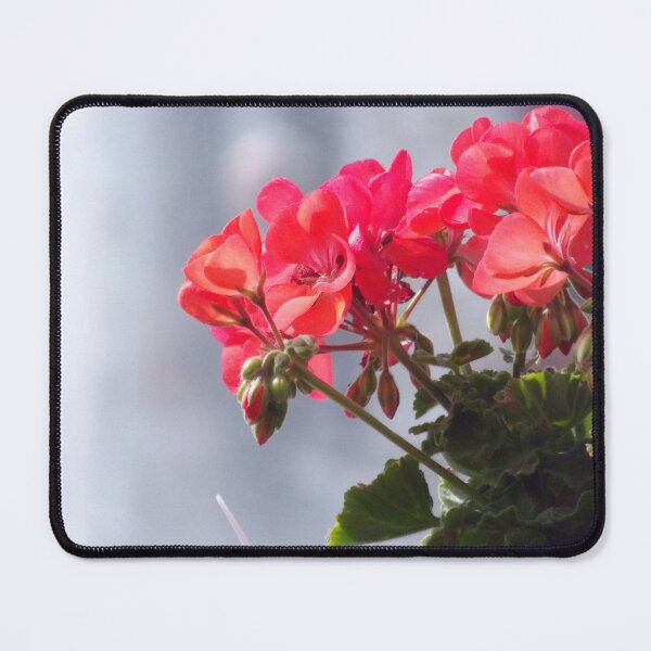 Item preview, Pelargonium / Geranium Lovers botanical flower design designed and sold by Betulek.