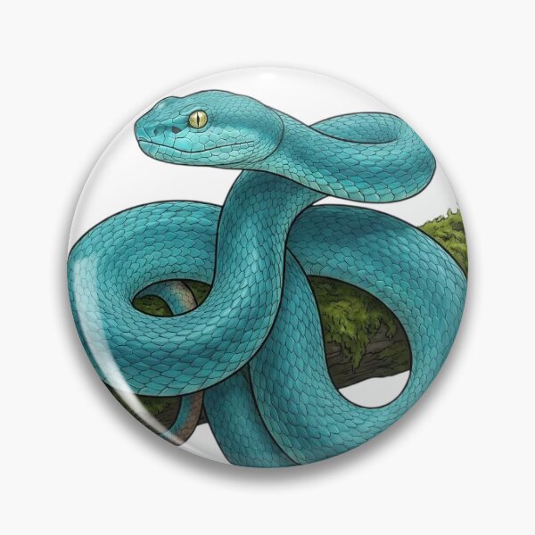Item preview, Blue Insularis – Realistic Blue Pit Viper Scientific Illustration designed and sold by zaki ⭐⭐⭐⭐⭐.