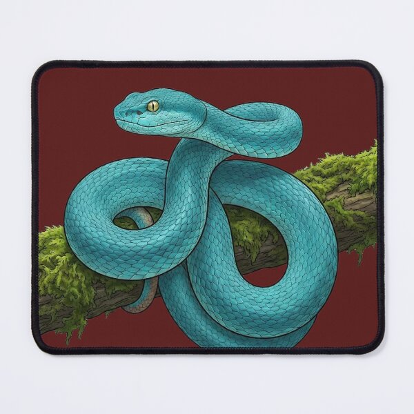 Item preview, Blue Insularis – Realistic Blue Pit Viper Scientific Illustration designed and sold by zaki ⭐⭐⭐⭐⭐.