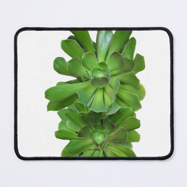 Item preview, Balancing Act! designed and sold by heatherfriedman.