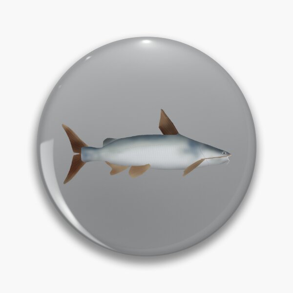Item preview, Soldier Catfish designed and sold by fishfolkart.