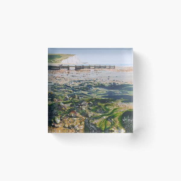 Item preview, Seaweed and Salt Water designed and sold by Paula Oakley.