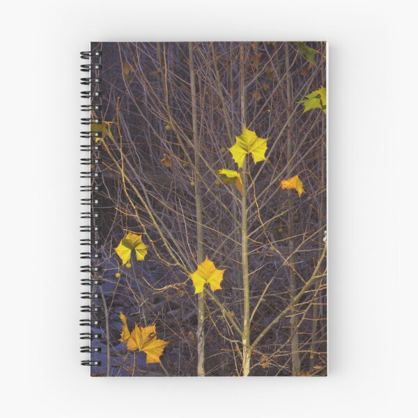 Item preview, Late Autumn Display designed and sold by RYBHOWE.