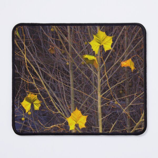 Item preview, Late Autumn Display designed and sold by RYBHOWE.