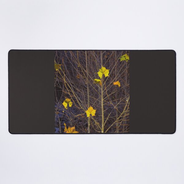 Item preview, Late Autumn Display designed and sold by RYBHOWE.