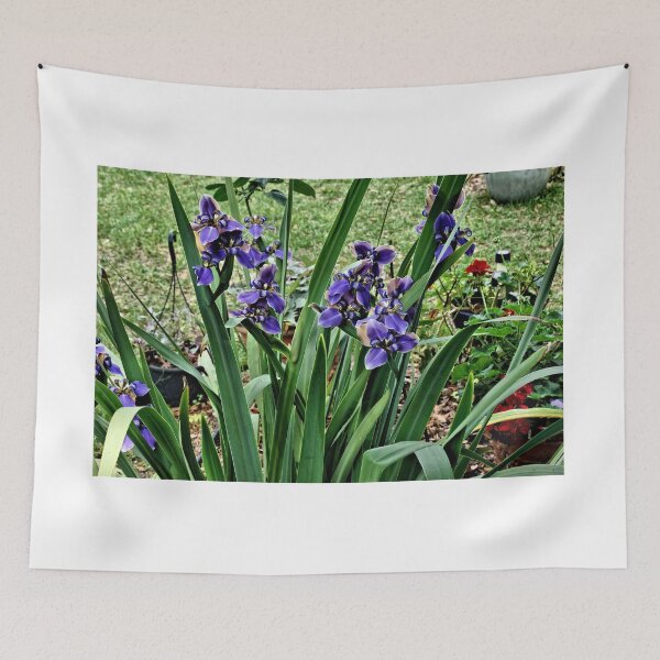 Item preview, African Iris 6 - Florida designed and sold by jtrommer.