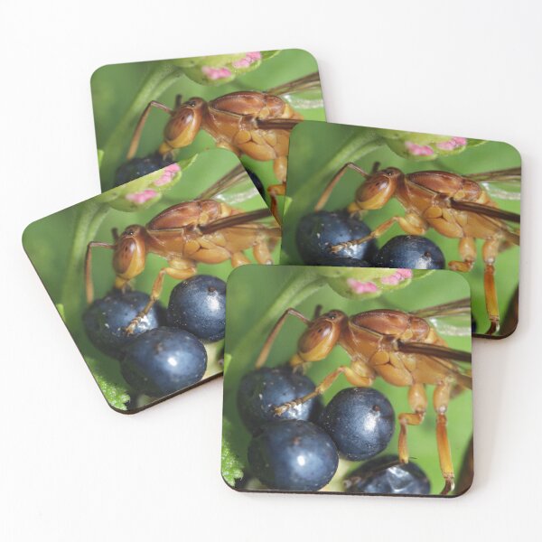 Item preview, Wasp and Berries  designed and sold by JacJaq.