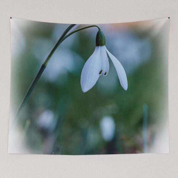 Item preview, Herald of spring designed and sold by Tom McPherson Photography.