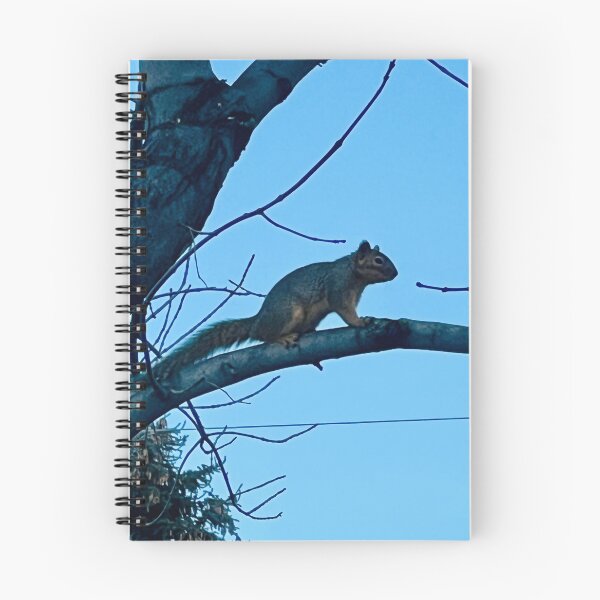 Item preview, Squirrel! designed and sold by Claustromind.