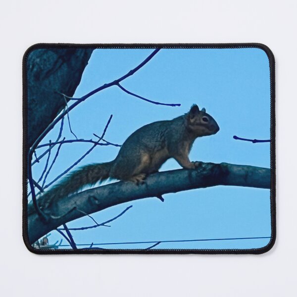 Item preview, Squirrel! designed and sold by Claustromind.