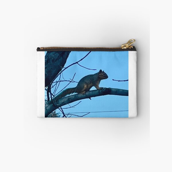 Item preview, Squirrel! designed and sold by Claustromind.