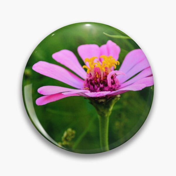 Item preview, Pink Cosmos Flower – Delicate Wildflower Nature Photography designed and sold by BlueRidgeBazaar.