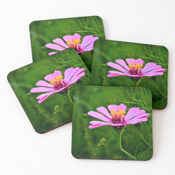Item preview, Pink Cosmos Flower – Delicate Wildflower Nature Photography designed and sold by BlueRidgeBazaar.