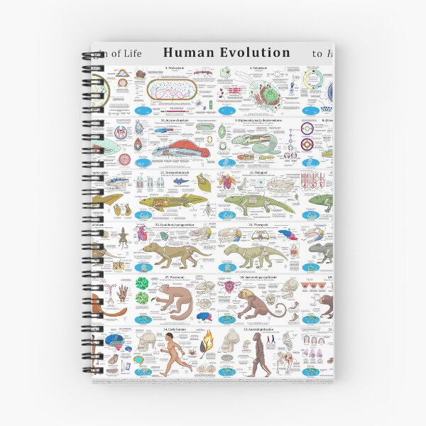 Item preview, Human Evolution from the Origin of Life designed and sold by Concavenator.