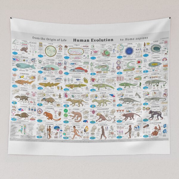 Item preview, Human Evolution from the Origin of Life designed and sold by Concavenator.