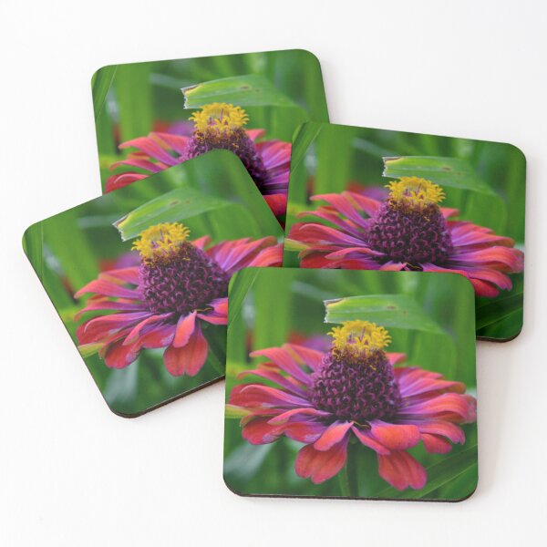 Item preview, Soft Pink Cosmos – Minimal Wildflower Nature Photography designed and sold by BlueRidgeBazaar.