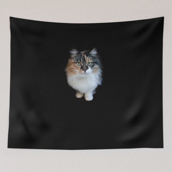 Item preview, Portrait of cute domestic cat designed and sold by olena2552.
