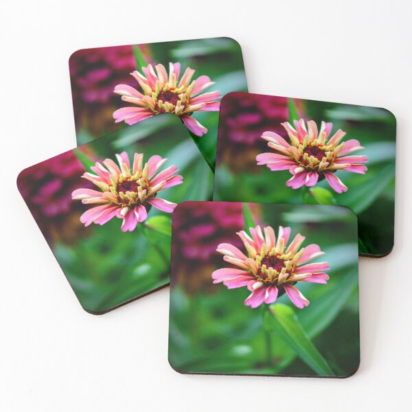 Item preview, Blushing Zinnia – Soft Pink Garden Flower Photography designed and sold by BlueRidgeBazaar.
