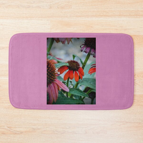 Item preview, Red Coneflower Bloom – Dramatic Echinacea Nature Photography designed and sold by BlueRidgeBazaar.