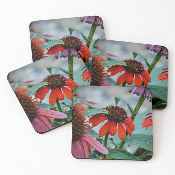 Item preview, Red Coneflower Bloom – Dramatic Echinacea Nature Photography designed and sold by BlueRidgeBazaar.