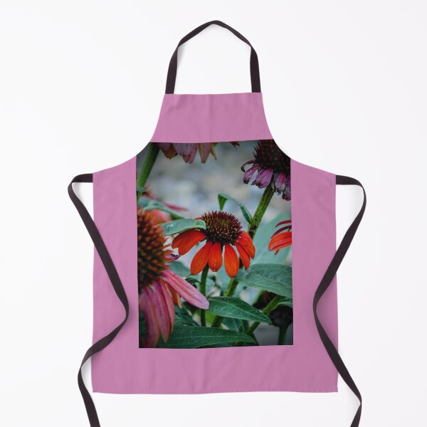 Item preview, Red Coneflower Bloom – Dramatic Echinacea Nature Photography designed and sold by BlueRidgeBazaar.