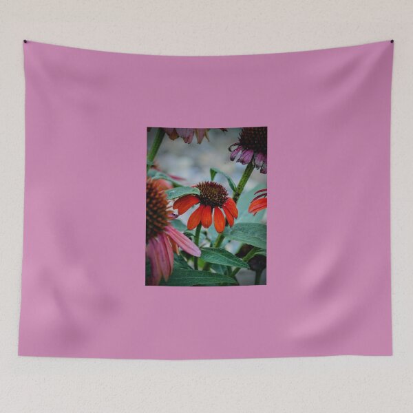 Item preview, Red Coneflower Bloom – Dramatic Echinacea Nature Photography designed and sold by BlueRidgeBazaar.