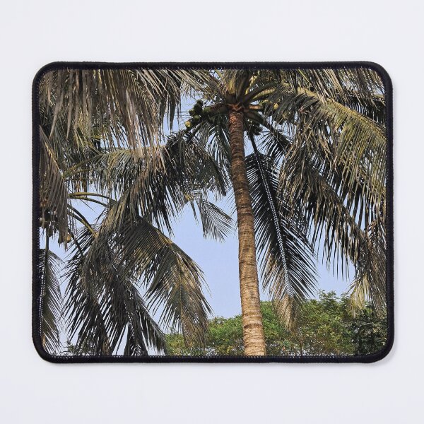 Item preview, Tall Coconut Palm Trees Against Blue Sky – Tropical Nature Photography Wall Print designed and sold by AwesomeDigiShop.