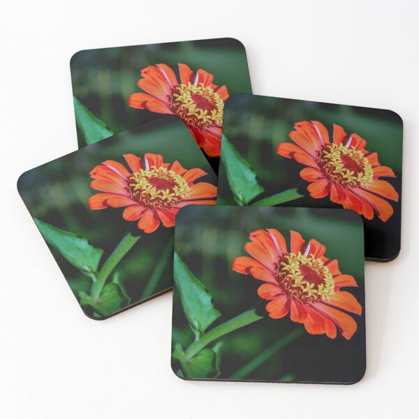 Item preview, Orange Zinnia Bloom – Vibrant Garden Flower Photography designed and sold by BlueRidgeBazaar.