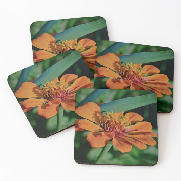Item preview, Orange Zinnia in Sunlight – Warm Garden Flower Photography designed and sold by BlueRidgeBazaar.