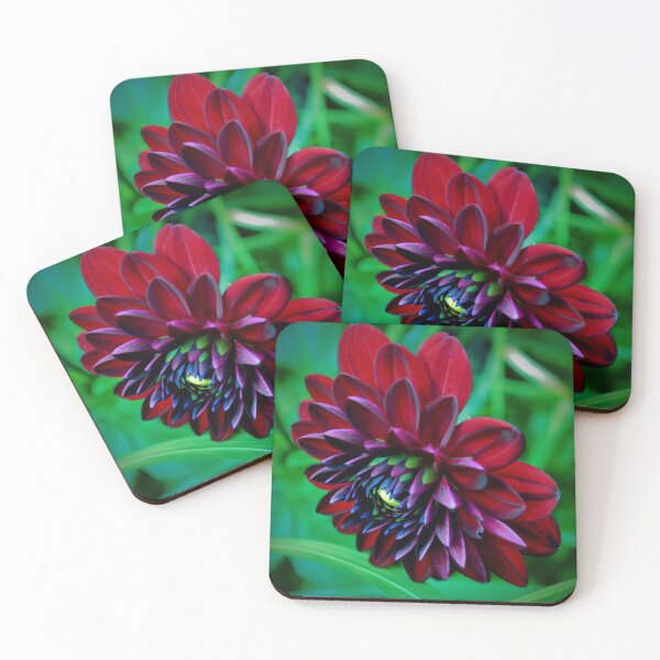 Item preview, Dark Red Dahlia Bloom – Dramatic Floral Macro Photography designed and sold by BlueRidgeBazaar.