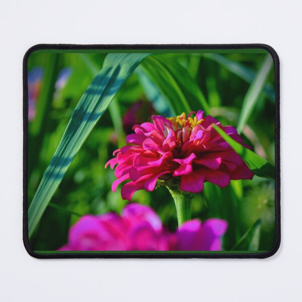Item preview, Pink Zinnia in Green Garden – Vibrant Floral Nature Photography designed and sold by BlueRidgeBazaar.