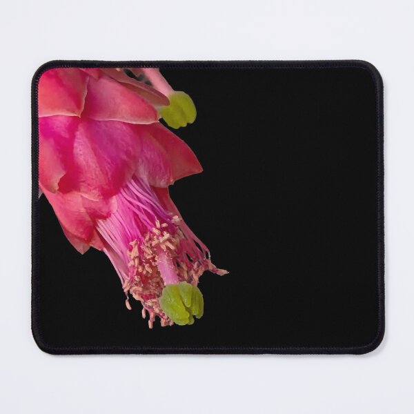 Item preview, Hummingbird Nopal Cactus Flower designed and sold by Creative Endeavors ..