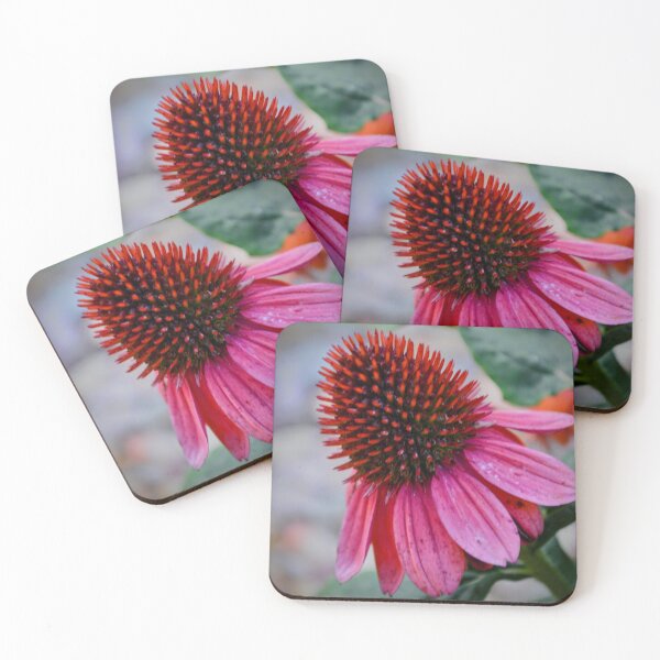 Item preview, Pink Coneflower Close-Up – Echinacea Nature Photography designed and sold by BlueRidgeBazaar.